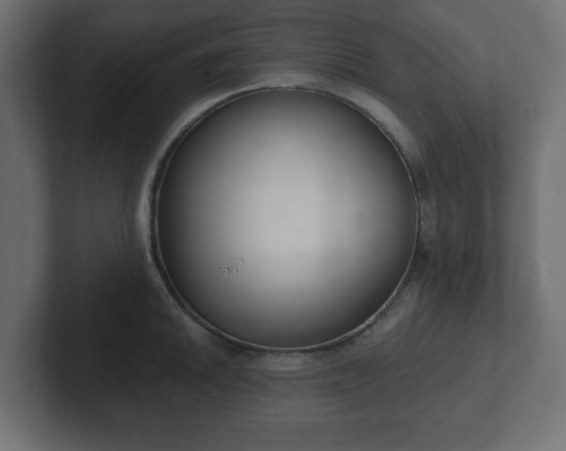 X0000103171046200808291506