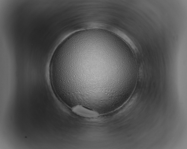 X0000103171047200808291506