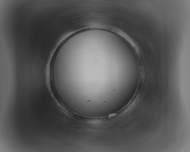 X0000103171048200808291506