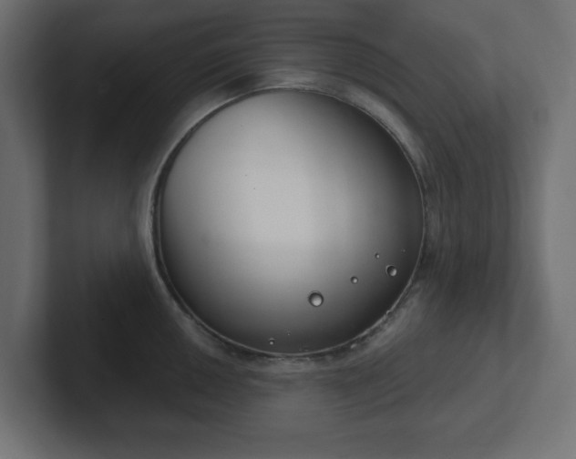 X0000103171050200808291506