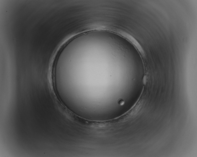 X0000103171051200808291506