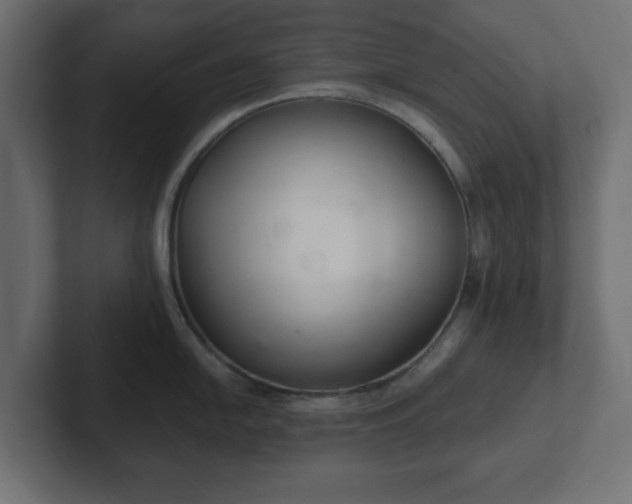 X0000103171054200808291506