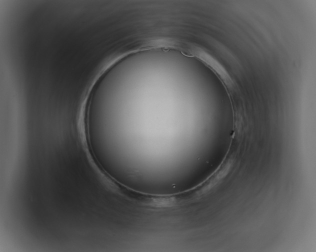 X0000103171055200808291506