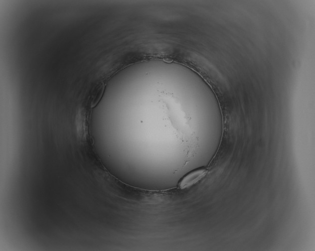 X0000103171058200808291506