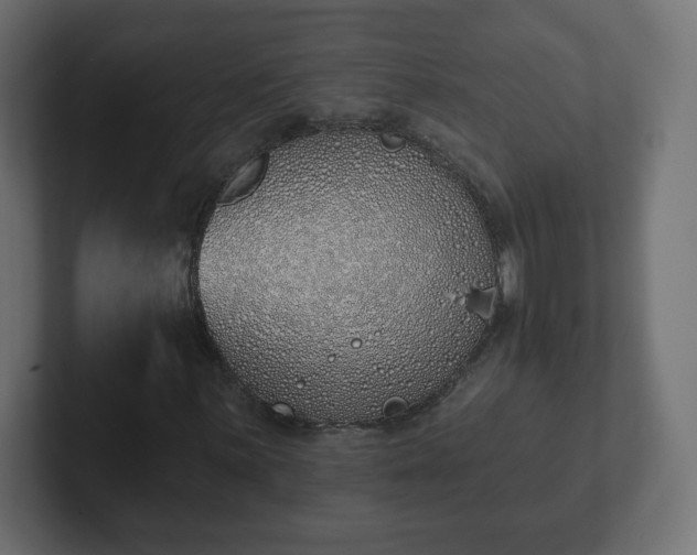 X0000103171059200808291506