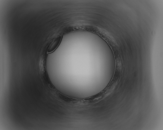 X0000103171060200808291506