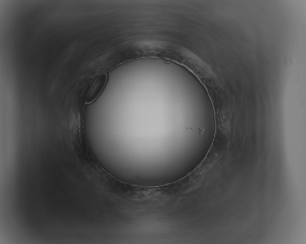 X0000103171061200808291506