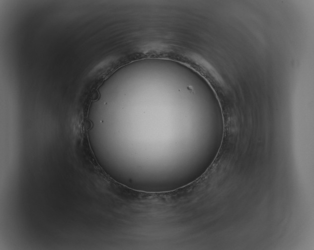 X0000103171063200808291506