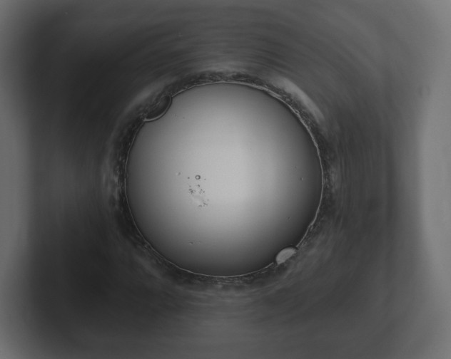 X0000103171064200808291506