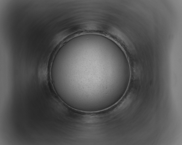 X0000103171065200808291506