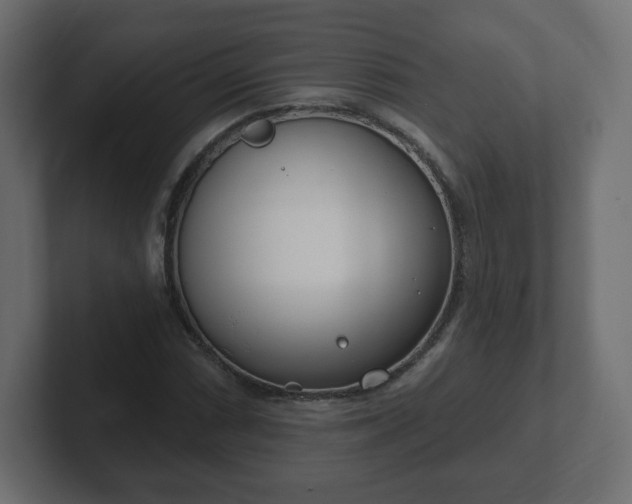 X0000103171066200808291506