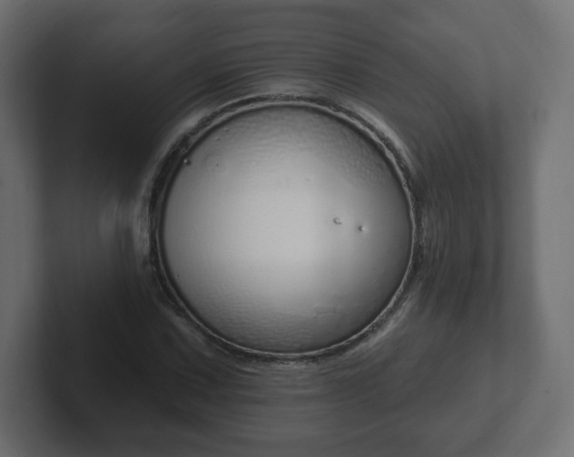 X0000103171067200808291505