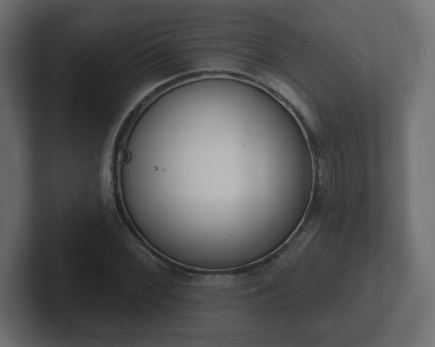 X0000103171068200808291505