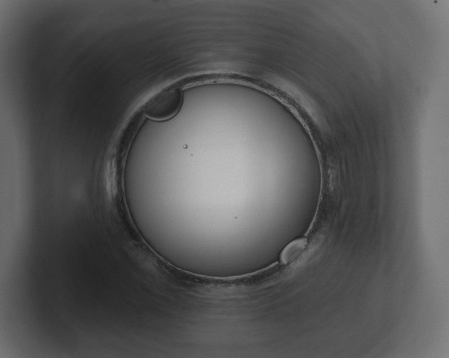 X0000103171069200808291505