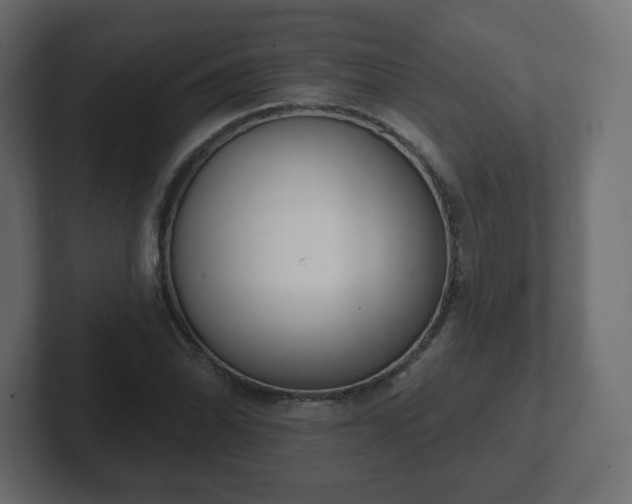 X0000103171070200808291505