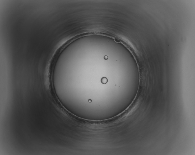 X0000103171071200808291505