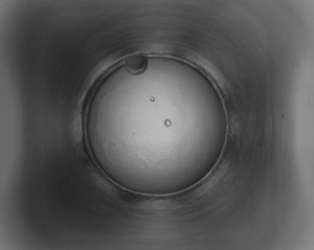 X0000103171075200808291505