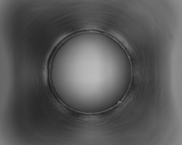 X0000103171076200808291505