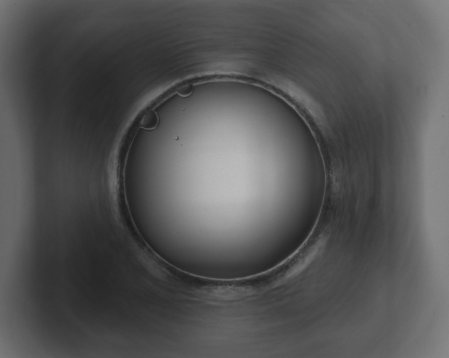 X0000103171077200808291505