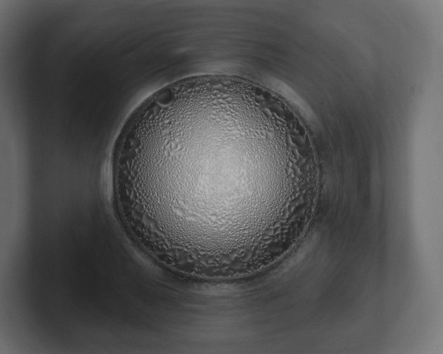 X0000103171079200808291505