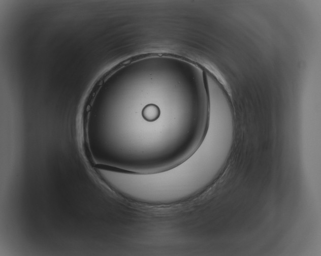 X0000103171080200808291505