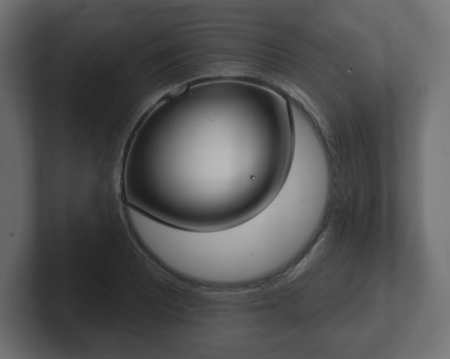 X0000103171081200808291505