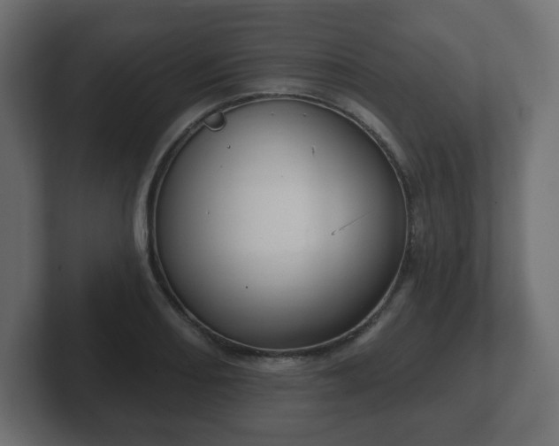 X0000103171082200808291505