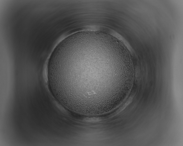 X0000103171083200808291505