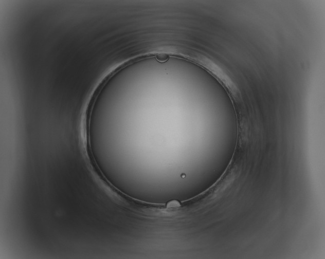 X0000103171084200808291505