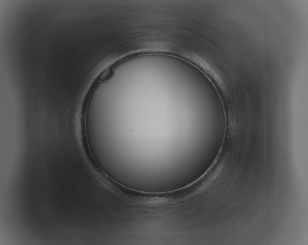 X0000103171085200808291505