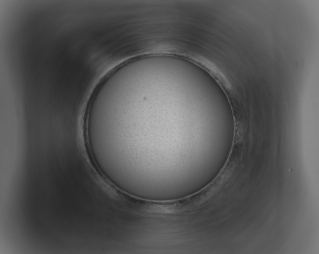 X0000103171086200808291505