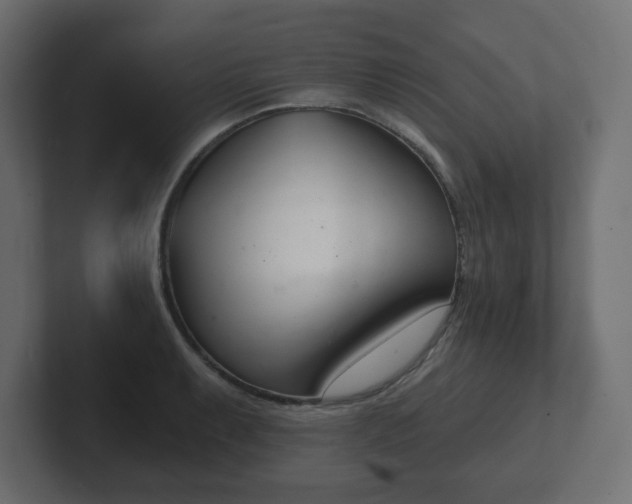 X0000103171087200808291505