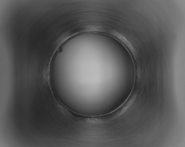 X0000103171089200808291505