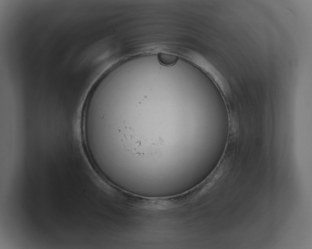 X0000103171090200808291505