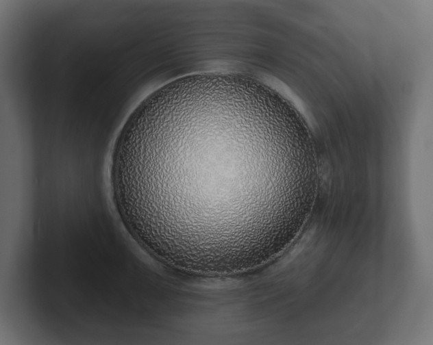 X0000103171091200808291505