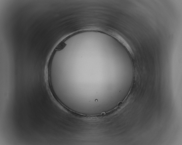 X0000103171092200808291505