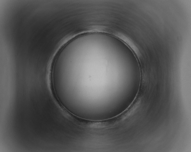 X0000103171093200808291505