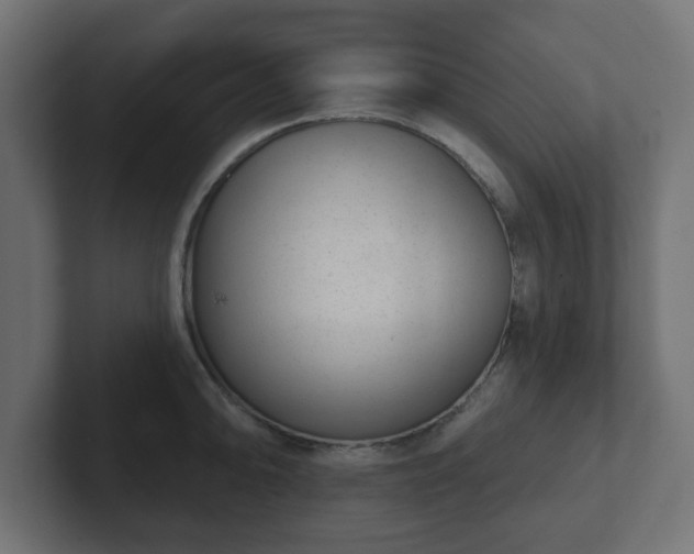 X0000103171094200808291505