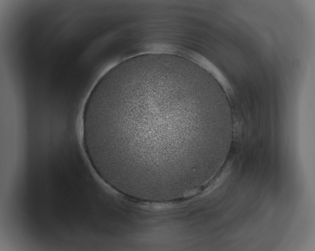 X0000103171095200808291505