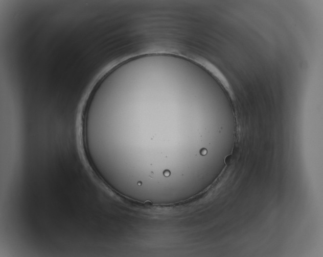 X0000103171096200808291505