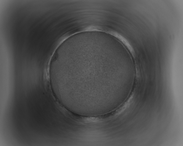 X0000103171097200808291505