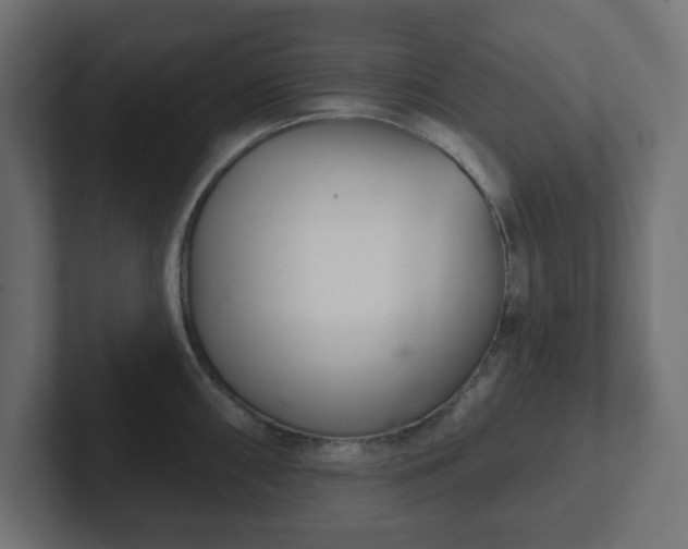 X0000103171098200808291505