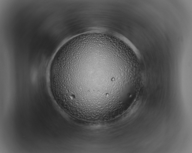 X0000103171099200808291505