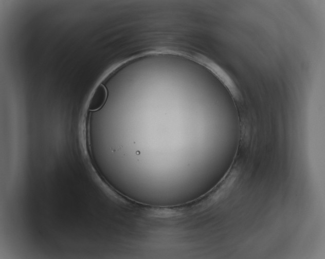 X0000103171100200808291505