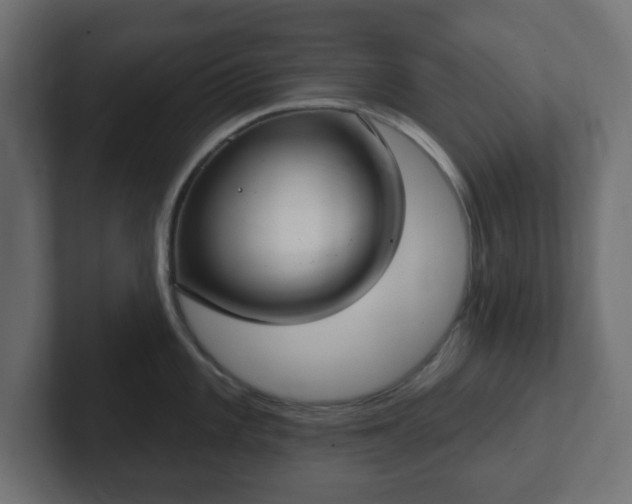 X0000103171101200808291505