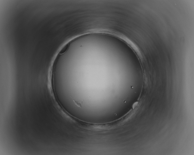 X0000103171102200808291505