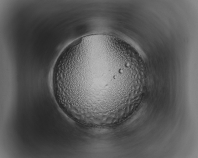 X0000103171103200808291505