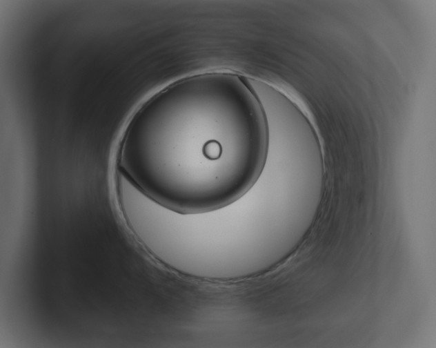 X0000103171104200808291505