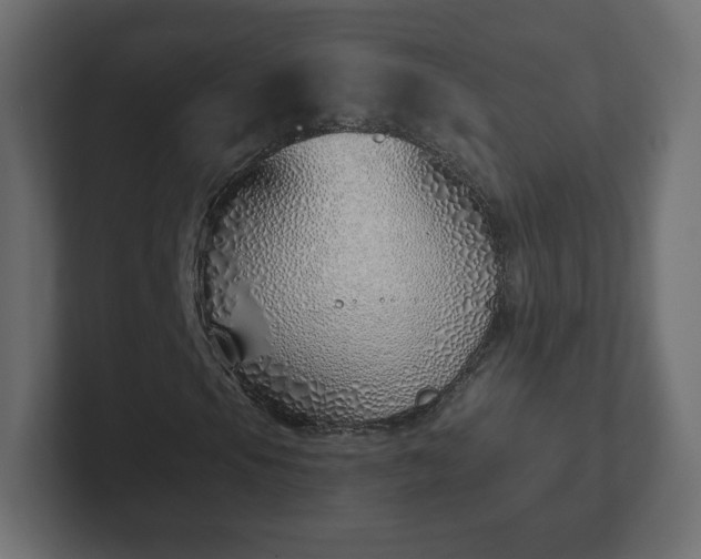 X0000103171105200808291504