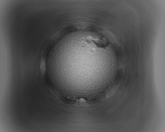 X0000103171106200808291504